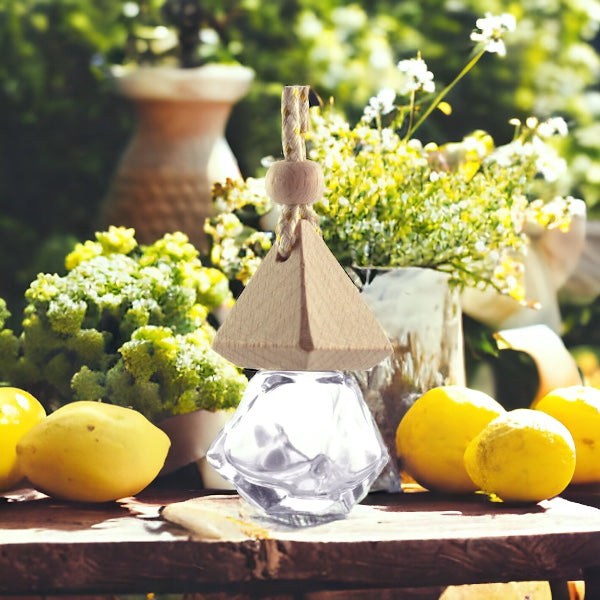 Lucky Day Air Freshener Scent Diffuser for Car and Home