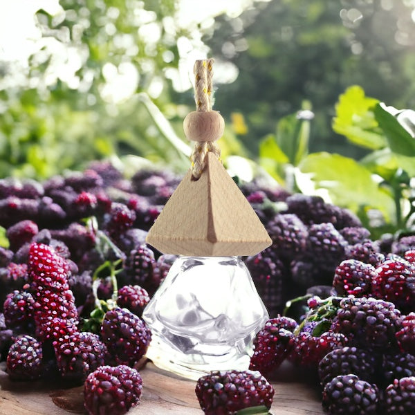 Oregon Marionberry Air Freshener Scent Diffuser for Car and Home